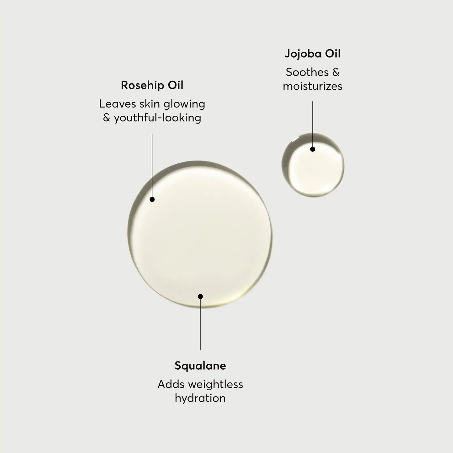 the-glow-getter-body-oil-q8 NATR-10115-Alt-Images-The-Glow-Getter-Body-Oil-01.webp