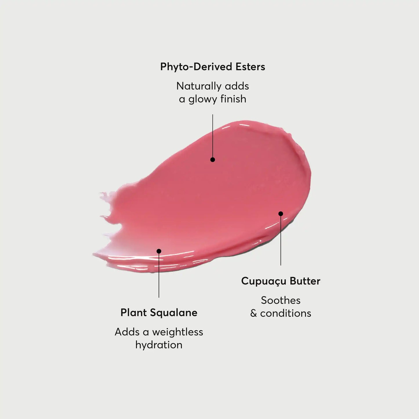 phyto-glow-lip-balm-petal-p8 NATR-60067-Alt-Images-Phyto-Glow-Lip-Balm-Petal-01.webp