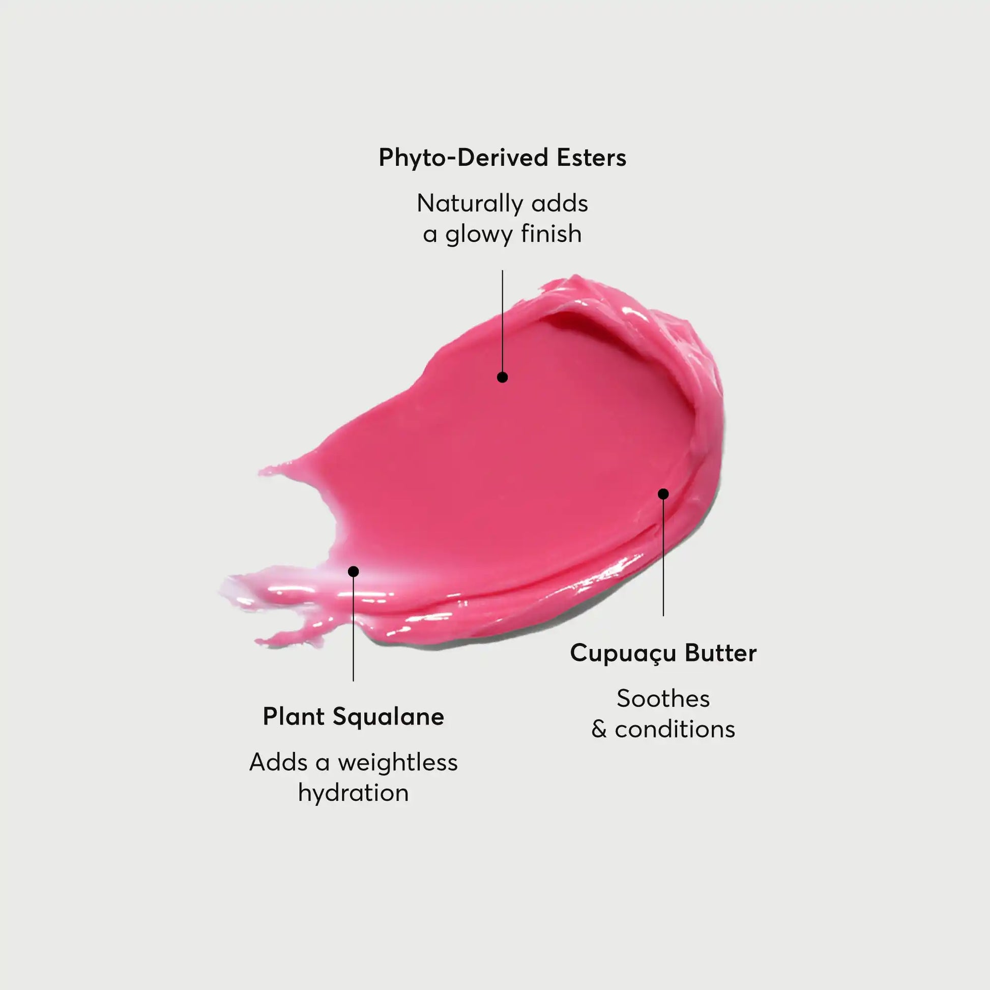 phyto-glow-lip-balm-camellia-b6 NATR-60075-Alt-Images-Phyto-Glow-Lip-Balm-Camellia-01.webp