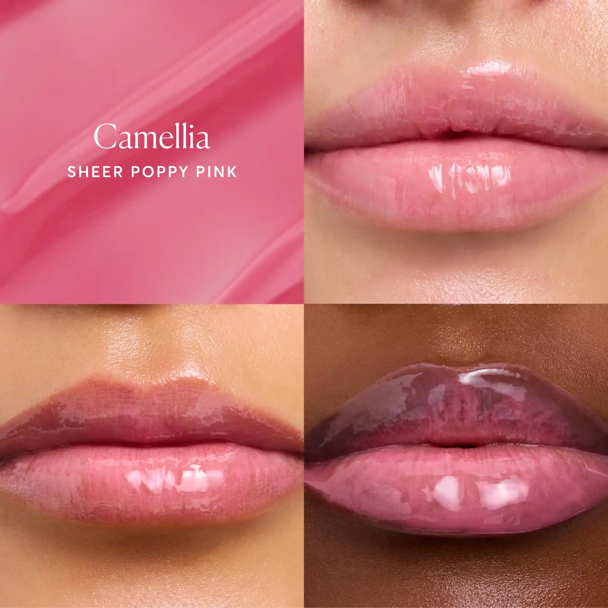 phyto-glow-lip-balm-camellia-b6 NATR-60075-Alt-Images-Phyto-Glow-Lip-Balm-Camellia-05.webp